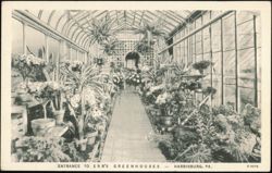 Erb's Greenhouses, Flowers That Cheer, Harrisburg, PA Postcard