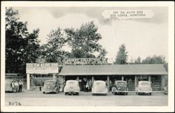 See 'Em Alive Zoo, Largest Collection of Wild Animals Postcard
