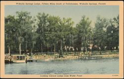Wakulla Springs Lodge and Waterfront, Florida Postcard