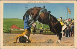 Rodeo Cowboy Getting Off to Stay in Nevada Postcard