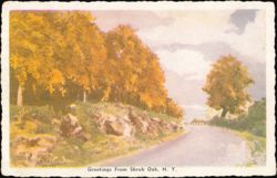 Scenic Roadside View, Shrub Oak, New York Postcard