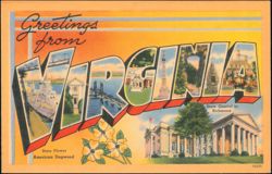 Greetings from Virginia State Capitol and American Dogwood Postcard