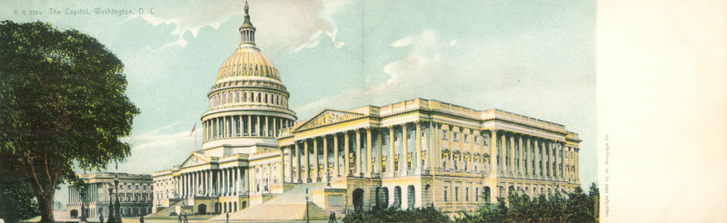 The Capitol Building, Washington, D.C.