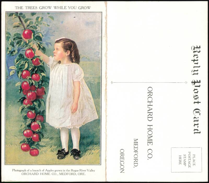 Girl Picking Apples, Orchard Home Co. Investment Offer Medford Oregon