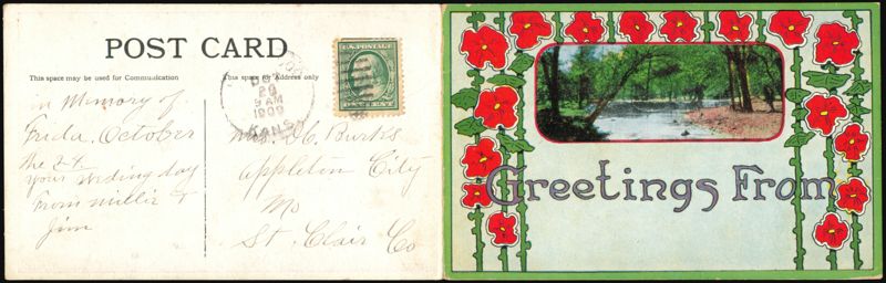 Greetings From Red Flowers Border Stream Scene Appleton City Missouri