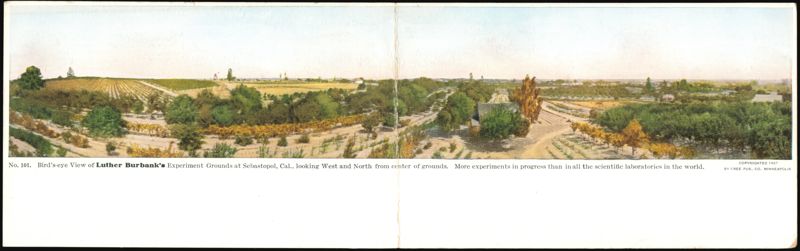 Bird's-eye View of Luther Burbank's Experiment Grounds Sebastopol California