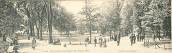The Common from Beacon Hill Large Format Postcard