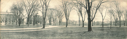 Harvard University Campus View with Trees Large Format Postcard