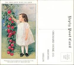 Girl Picking Apples, Orchard Home Co. Investment Offer Large Format Postcard