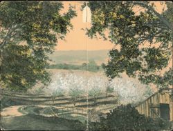 Stock #1185001 Thumbnail