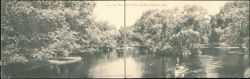 The Lake, Public Gardens, Boston, Mass. Large Format Postcard