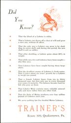 TRAINER'S DON DOR MAR Lounge, Quakertown PA, Lobster Facts Large Format Postcard