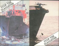 Stock #1185230 Thumbnail