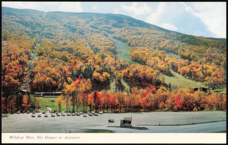 Wildcat Mtn. Ski Slopes in Autumn, Gondola Tramway Jackson New Hampshire