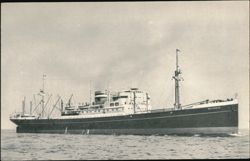 Holland-America Line M.V. Dalerdijk Ocean Liner Postcard