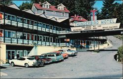 Thunderbird Motor Inn Overlooking the Lake Postcard