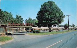 Pine Lodge Court Motel on U.S. Highway 1 Postcard