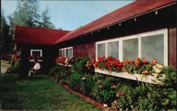 Colorful Tuberous Begonias at Freedom Acres Farm Postcard