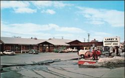 Larry's Woodworking and Country Store, South Broadway Postcard
