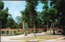 Tropizar Motel with Palm Tree Neon Sign Postcard