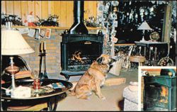 Portland Stove Foundry Co. No. 3 Franklin Stove Ad Postcard