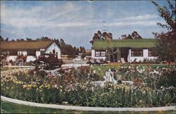 Skeeter Motel Cottages, Grounds and Office Postcard