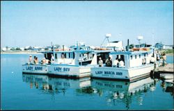 Sea Fishing Boats Lady Anne, Lady Bev & Lady Marcia Ann Postcard