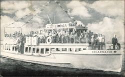 Shearwater Harbor Cruise Boat with Passengers Postcard