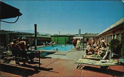 Tropical Palms Spa Motel Swimming Pool Postcard