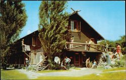 Hitching Post Postcard