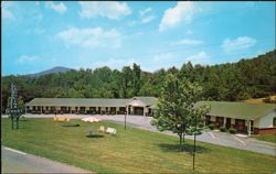 Carolina Court Motel, U.S. Highway 441 South Postcard