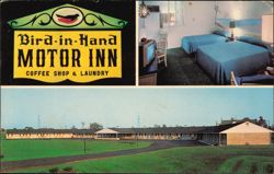 Bird-in-Hand Motor Inn, Coffee Shop & Laundry Postcard