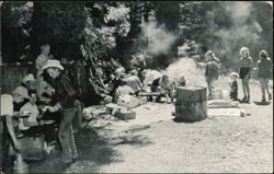 Douglas Camp Chow Time in Redwood Forest Pack Trip Postcard