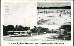 Lake Tyler Motor Inn, Orange Blossom Trail Postcard