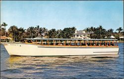 The New Pippin II Sightseeing Jungle Cruise Boat Postcard