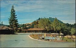 Sherwood Forest Motel Swimming Pool and Grounds Postcard