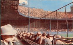 Game Time at Briggs Stadium, Home of the Tigers Postcard