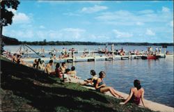 Lake Lawn Lodge, Sunning and Swimming on Delavan Lake Postcard