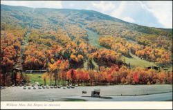 Wildcat Mtn. Ski Slopes in Autumn, Gondola Tramway Postcard