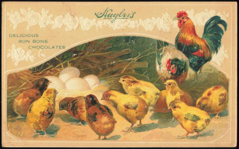 Huyler's Chocolates Advertising Chicks and Rooster