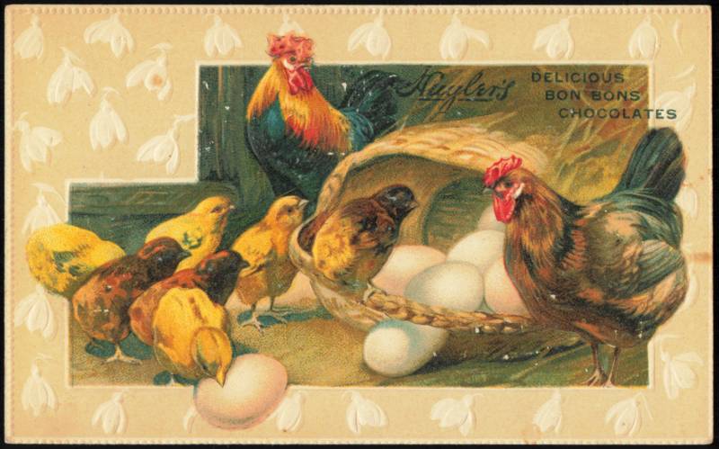 Huyler's Bon Bons Chocolates Advertising Chickens & Eggs