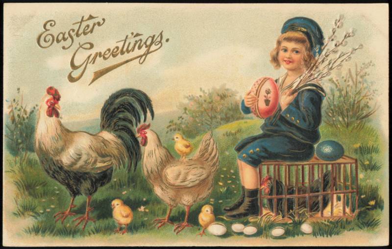 Easter Greetings, Sailor Boy with Rooster and Chicks