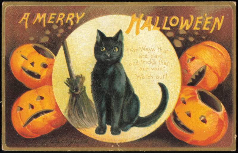Ellen Clapsaddle Halloween Black Cat & Jack-O'-Lanterns