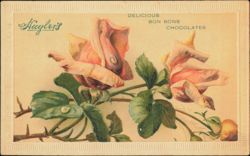 Huyler's Delicious Bon Bons Chocolates Embossed Roses Postcard
