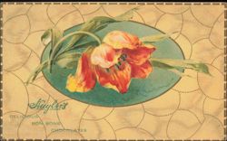 Huyler's Bon Bons Chocolates Advertising Embossed Tulip Postcard