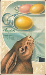 Huyler's Delicious Bon Bons Chocolates Rabbit & Easter Eggs Postcard