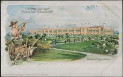 1904 World's Fair Palace of Agriculture St. Louis Postcard
