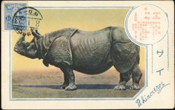 Japanese Rhinoceros Zoological Card, Cancel on Front Postcard