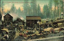 Lumber Mill Cutting Up Giant Redwood Trees Postcard