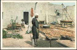 Native American Woman Drying Peaches at Isleta Pueblo Postcard